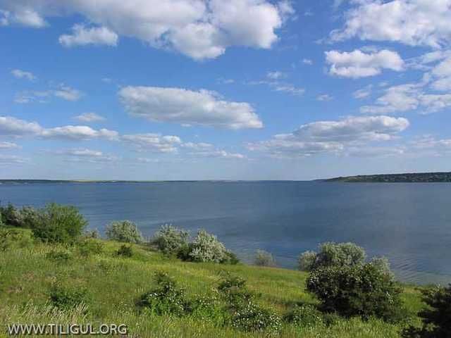 Продаж земельної ділянки на березі Тилігульського лиману