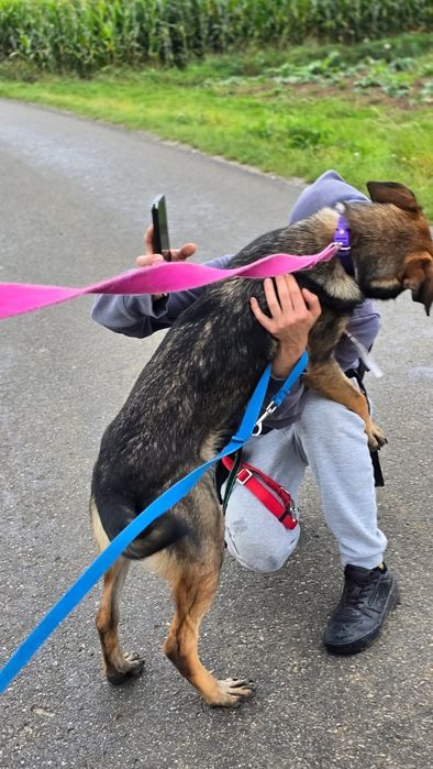 Azja przekochana młoda sunia