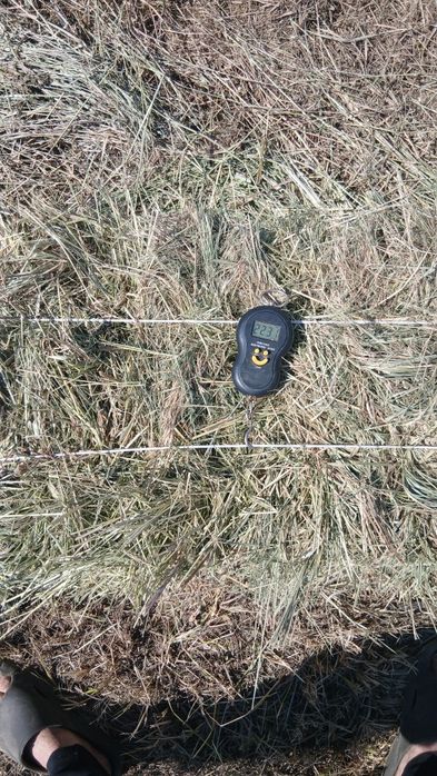 Продам  сіно в тюках