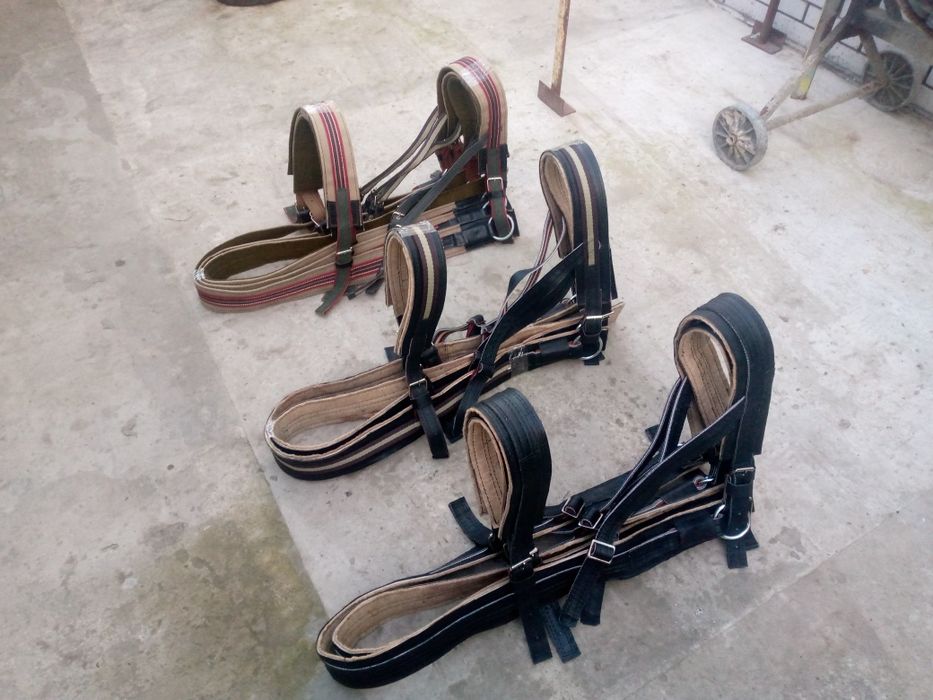 Підшора (наритник) упряж для коней