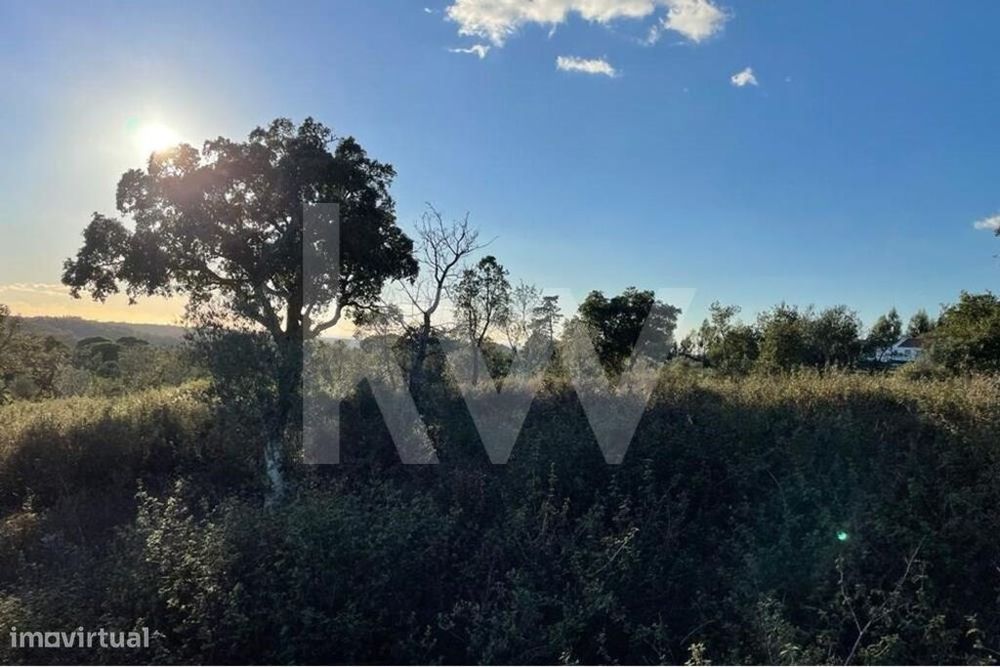 Terreno Misto c/ ruína e dependência agrícola - São Francisco da Serra — São Francisco da Serra, Setúbal