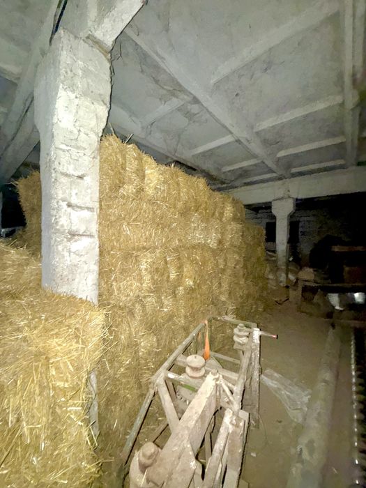 Солома ячневая и пшеничьная