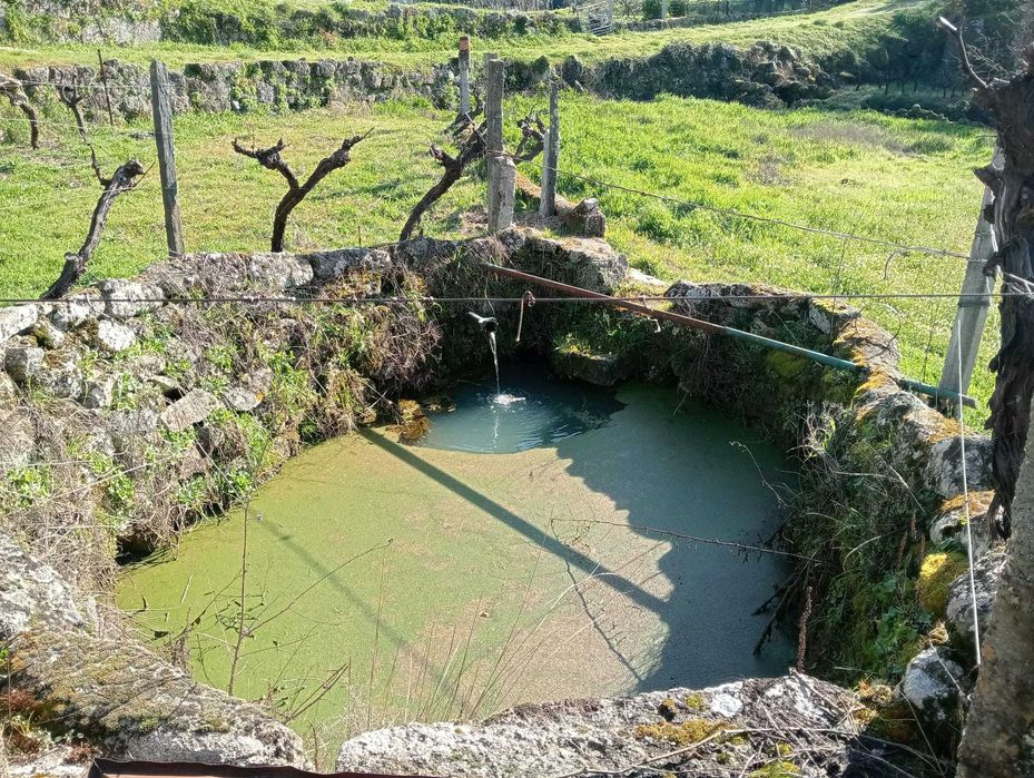 Terreno com viabilidade para construção