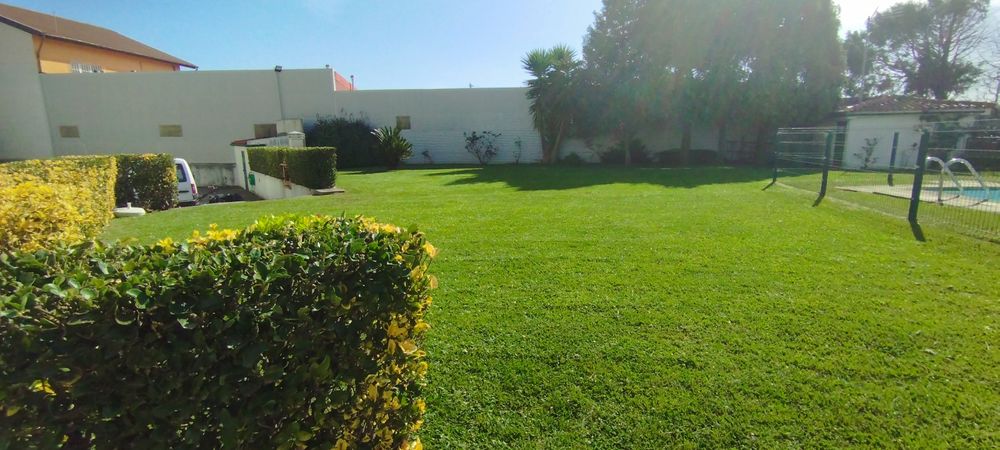 Serviços de jardinagem