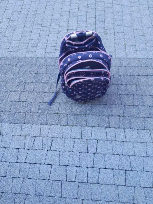 Plecak na Kółkach z Kotkami Kot Szkolny St.Right Majewski [TB1]