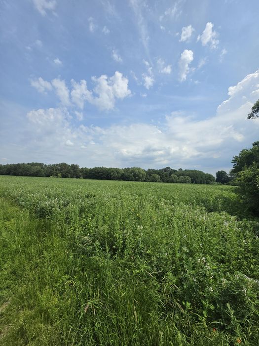 Działki budowlane