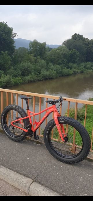 Rower specialized fatboy