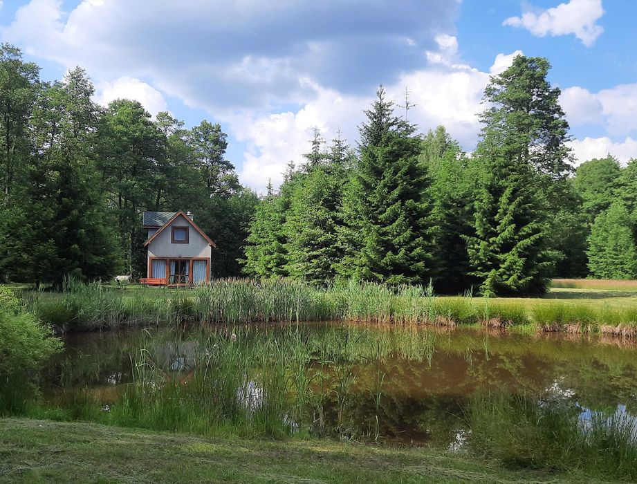 Domek do wynajęcia w strefie ciszy przy stawie