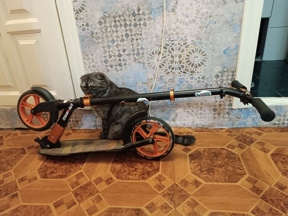 самокат двухколесний складний
