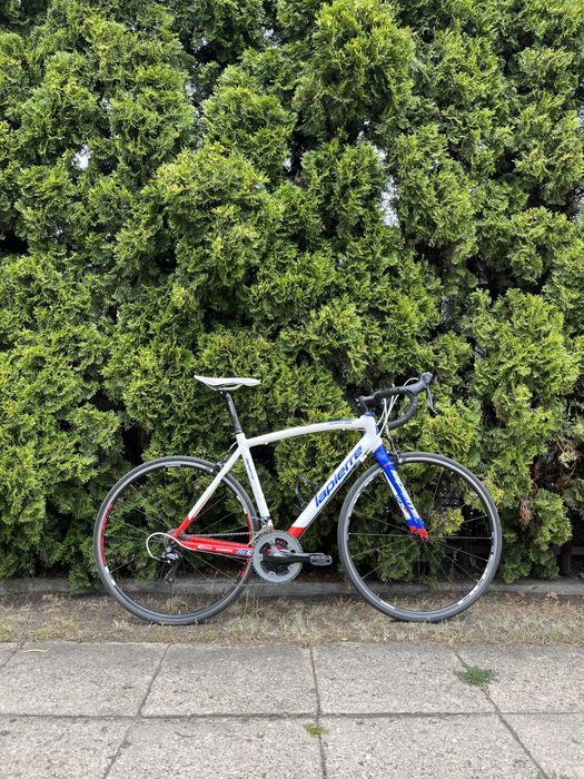 Lapierre Sensium FDJ Shimano Sora | Szosowy | Carbon Widelec