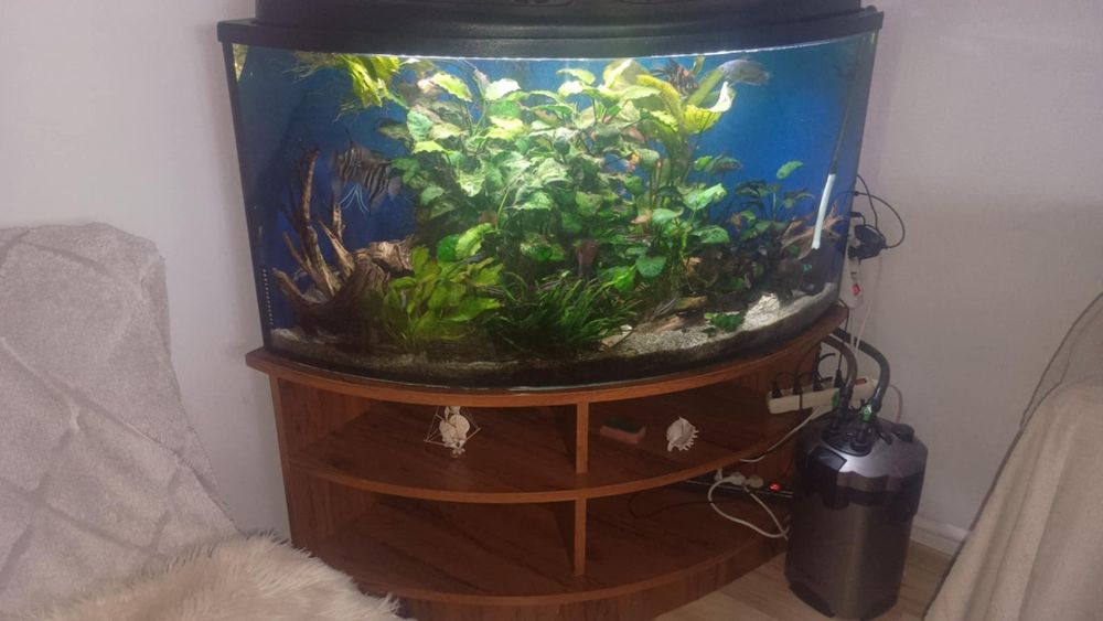 Sprzedam akwarium