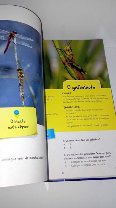 Nova Grande Enciclopédia  - Guia Essencial para o Conhecimento