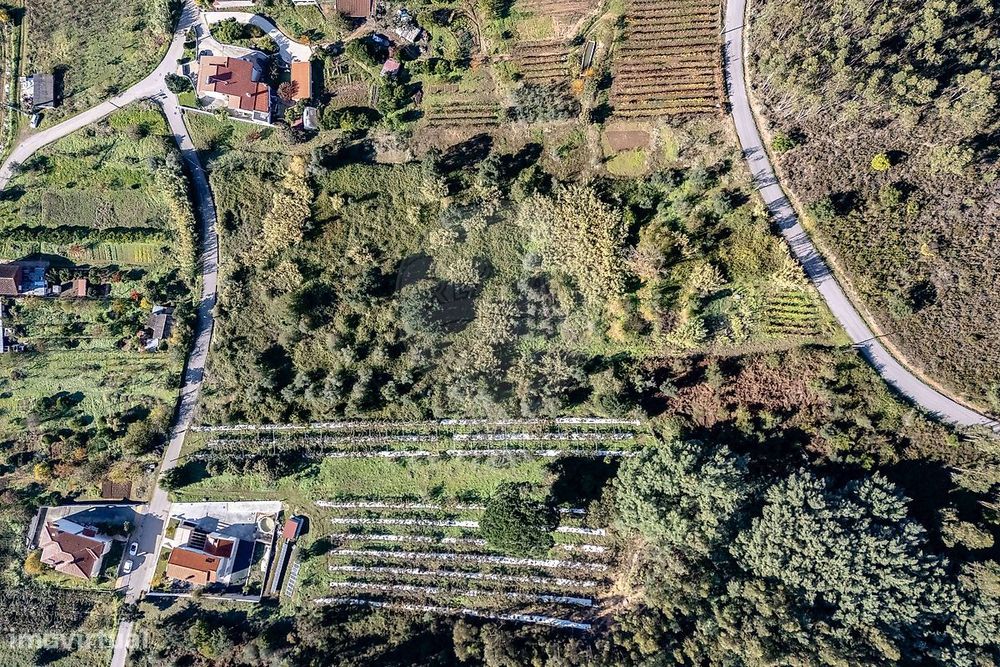 Terreno  para venda