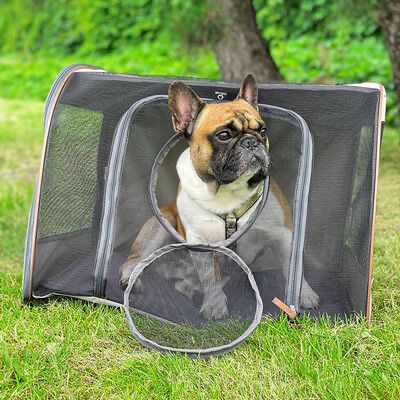 Автокрісло для собак COLLAR