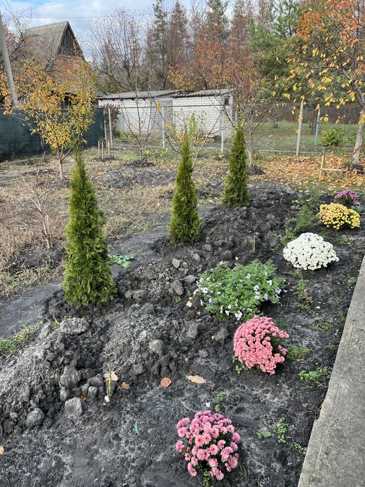 Продам дачу біля лісу