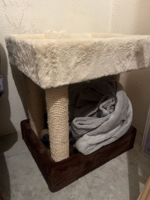 Cama com Arranhador e bebedouro de agua para gatos