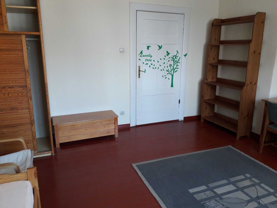 Jeden (dwa) duży jasny pokój  dla młodej   kobiety/studentki.