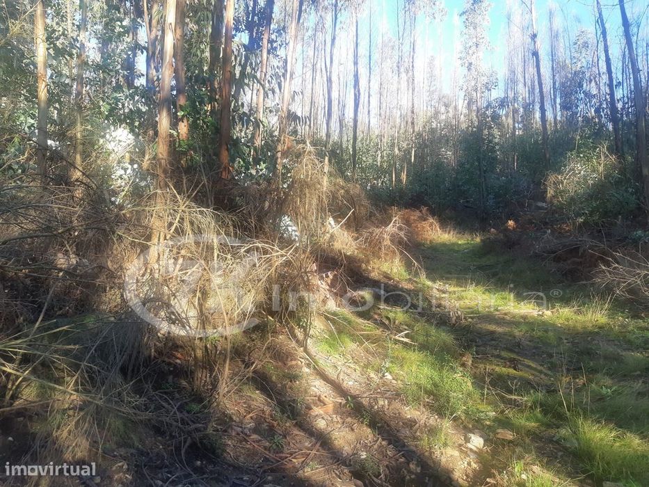 Terreno em Penhalonga — Penhalonga E Paços De Gaiolo, Porto