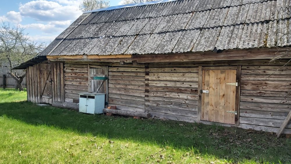 Будинок на хуторі, хвойний ліс, мальовниче місце.