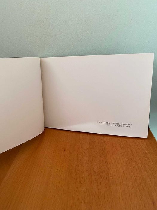 Dias Úteis - Catarina Botelho