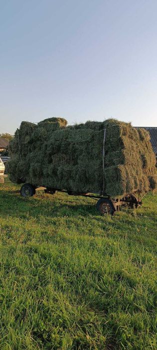 Сіно в тюках ; Отава