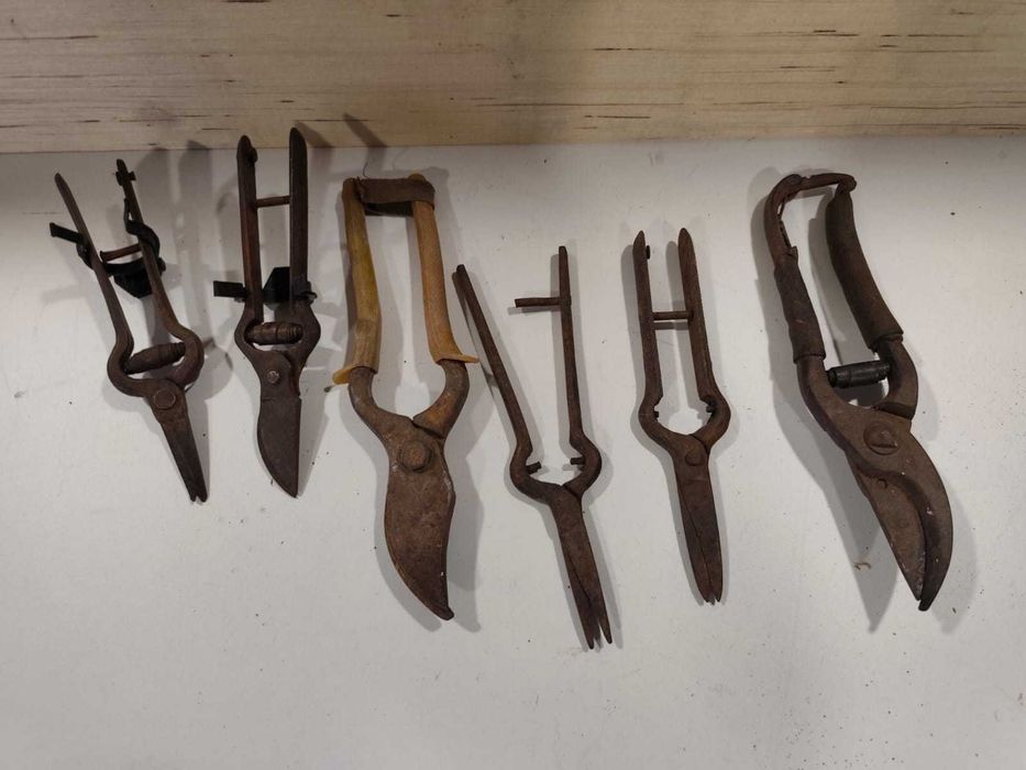 Tesouras de podar e vindimar