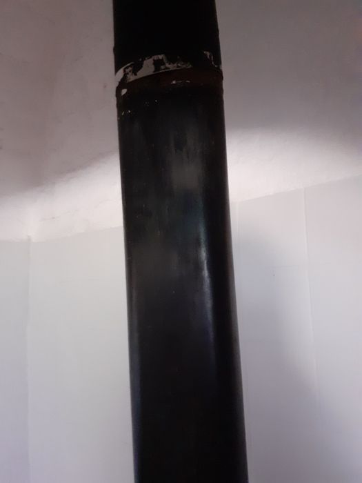 Salamadra em bom estado