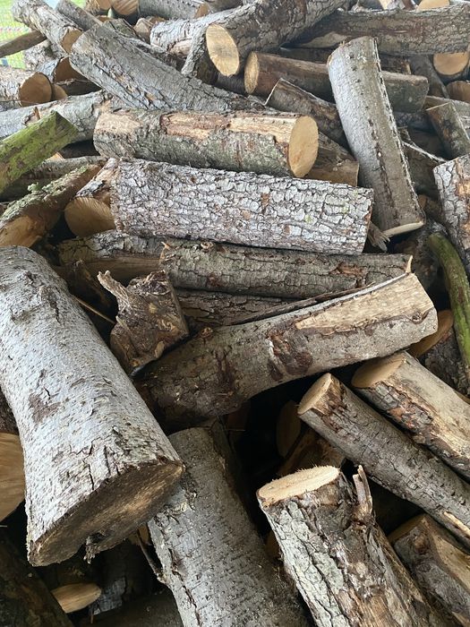 Drewno opałowe olcha