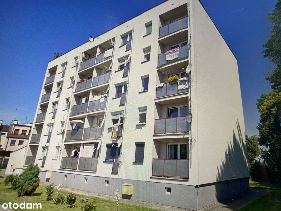 Sprzedam mieszkanie po remoncie