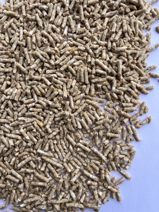 Престарт для поросят