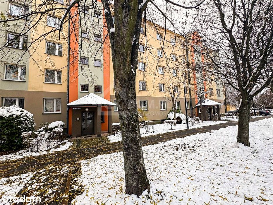 Przestronne 3-pokojowe mieszkanie 75 m², Gołębiów