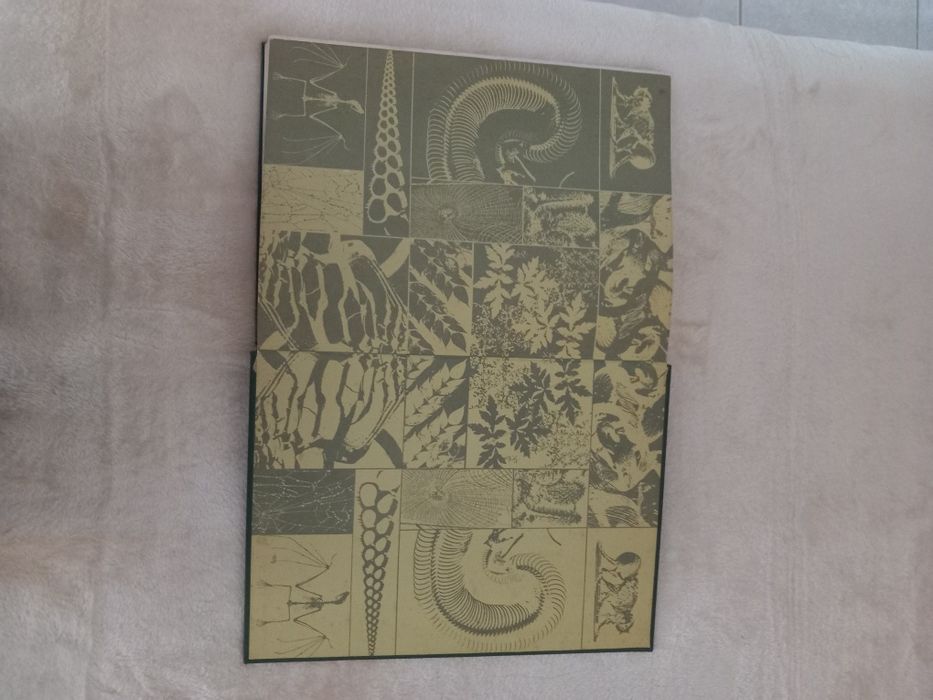 Livro de 1973 - O Assombroso Mundo da Natureza