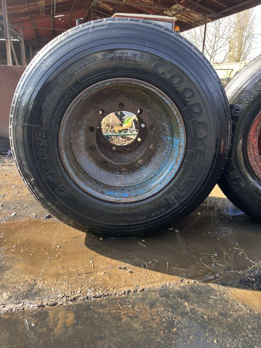 Opona plus felga do przyczepy brandys