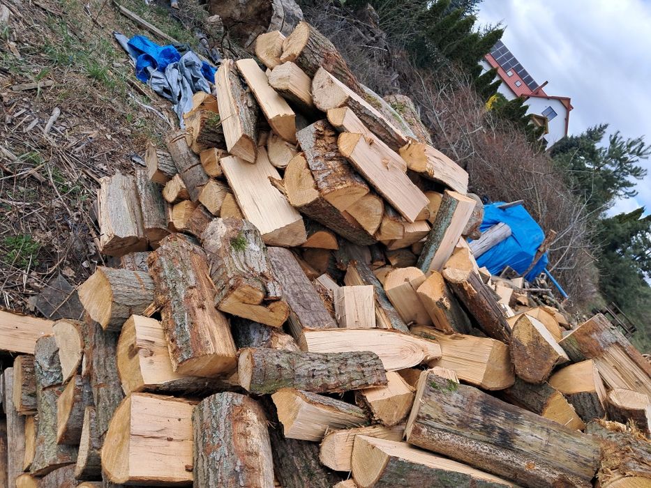 Sprzedam drewno opalowe oraz ogniskowe,