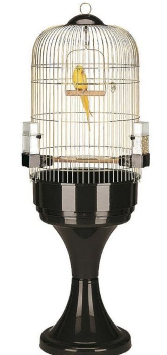 Gaiolas novas em loja