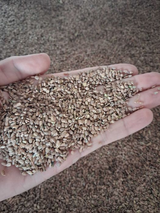 Seradela seradela 700 kg