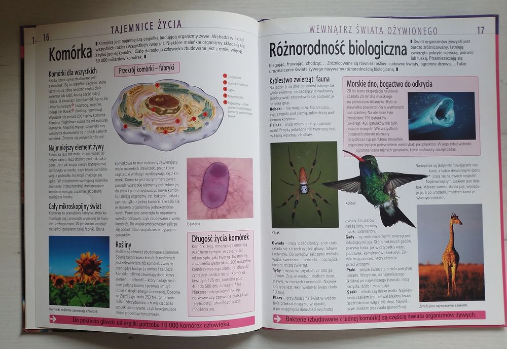Tajemnice życia. Atlas juniora. Nauka i odkrycia