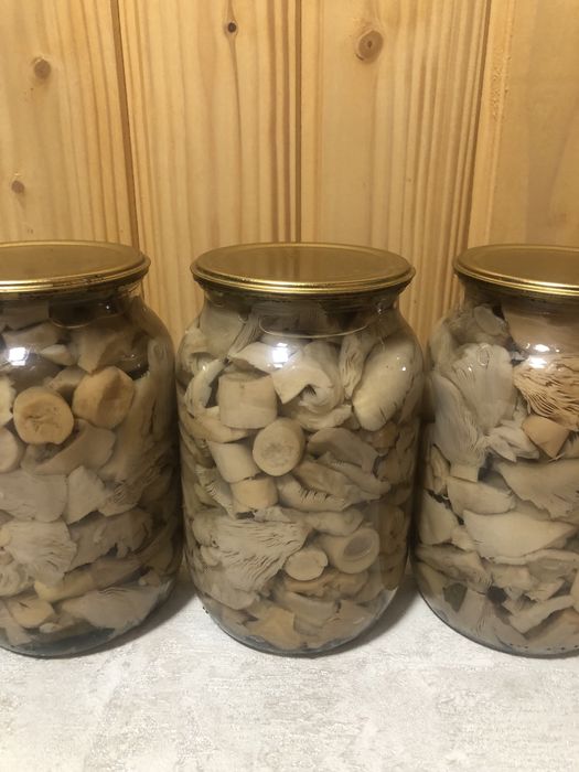 Мариновані гриби