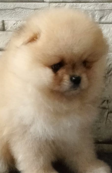 Просто казковий хлопчик