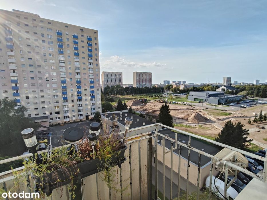 Mieszkanie – Poznań - Więcej