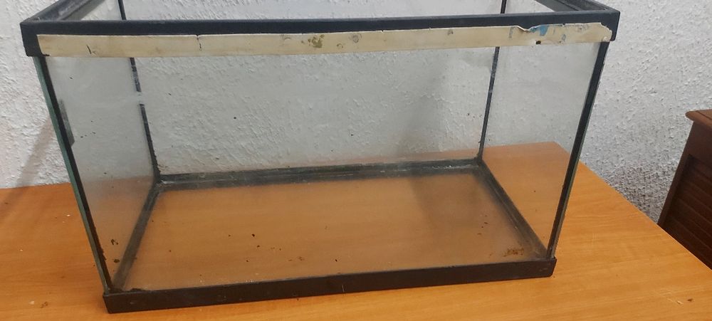Terrario ou aquário de paisagismo