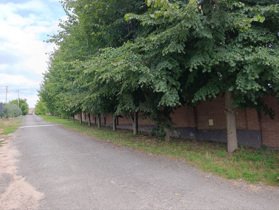 Будинок село Шевченково