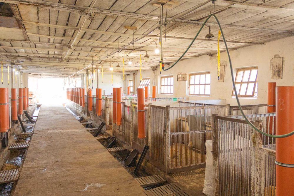 Продаж ферми з підсобними приміщеннями