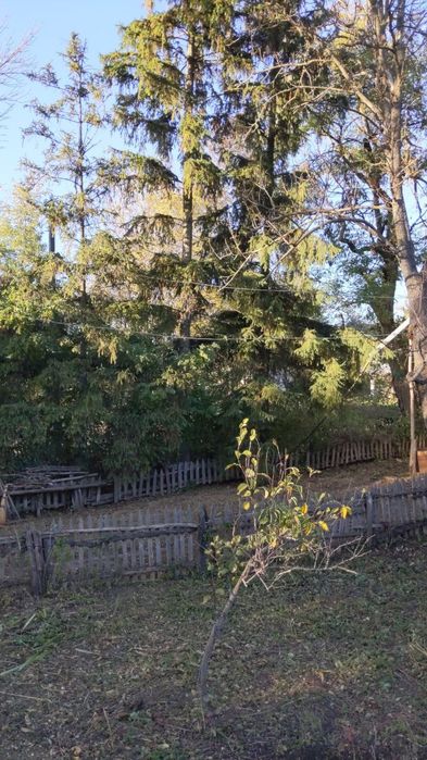 Хата в селі Небелівка