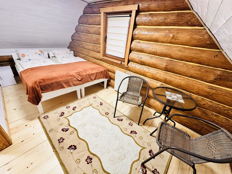 Деревяний будиночок біля термальних вод Косино