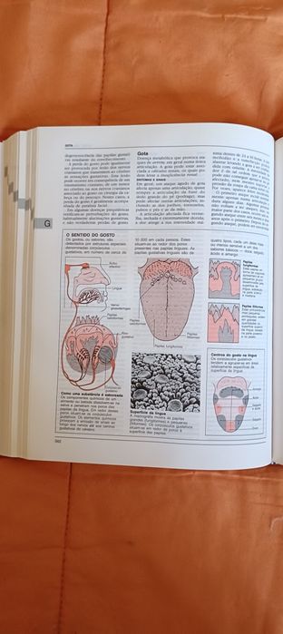 Enciclopédia de Medicina