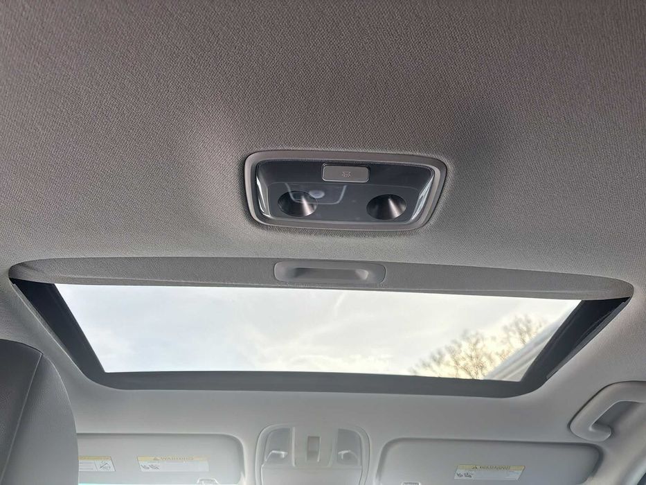 Kia e-Niro      2020