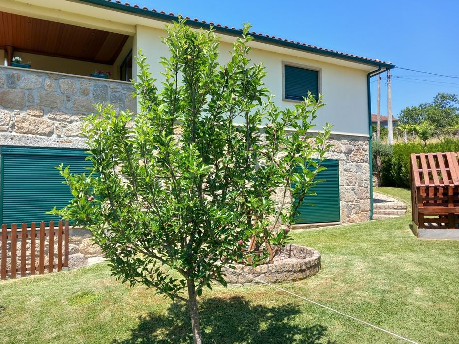 Moradia T3 em pedra, mobilada, com garagem e zona de lazer