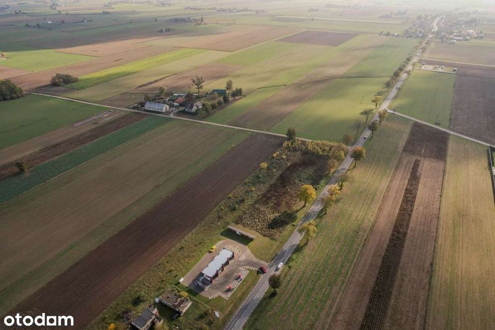 Sprzedam działkę przy obwodnicy Sierpca DK560 - Widok 4