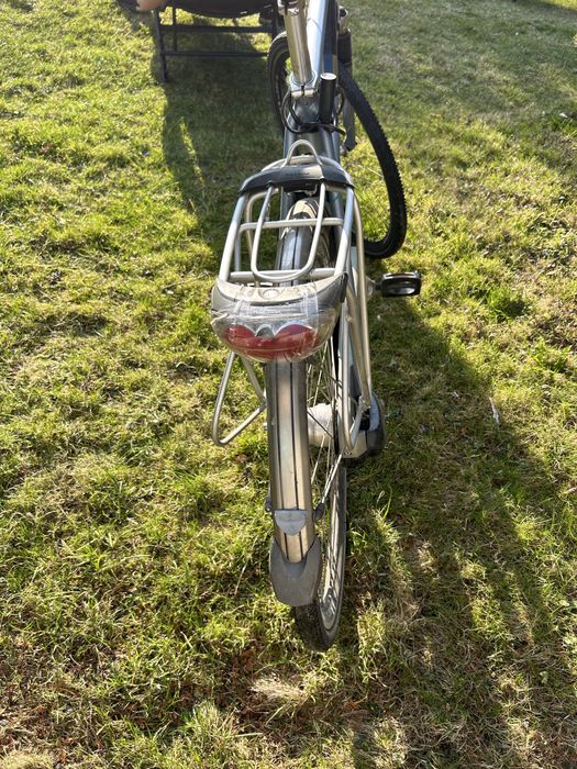Gazela holenderska